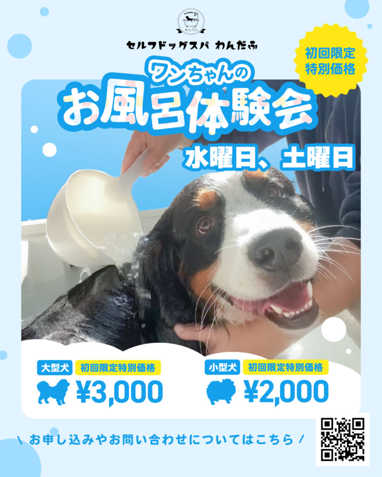 お風呂体験会を開催