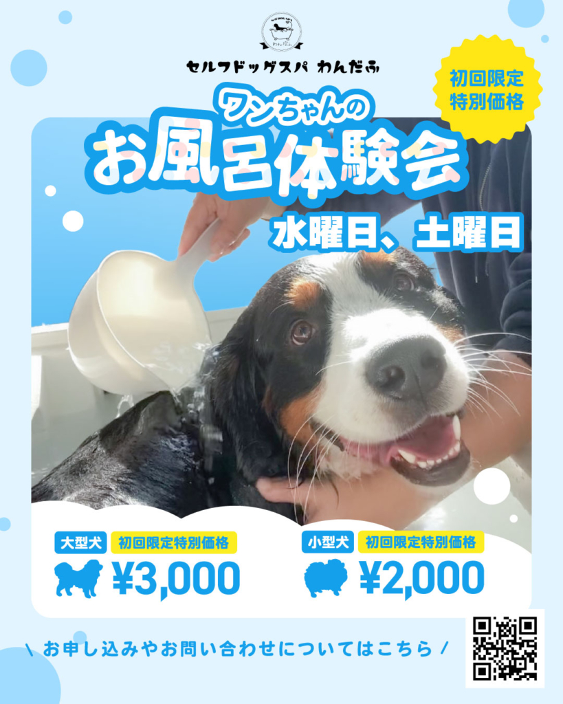 お風呂体験会を開催